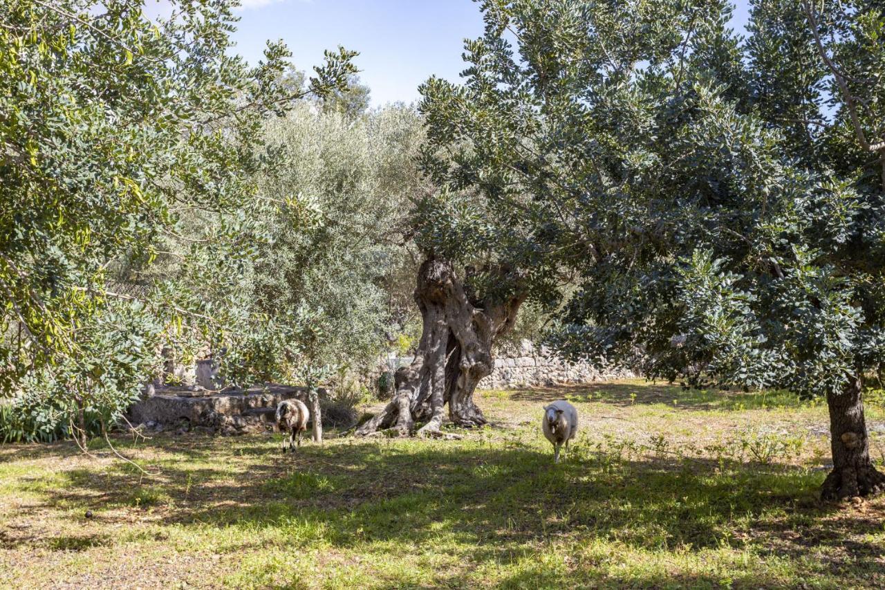 Finca Barons Bunyola Ngoại thất bức ảnh