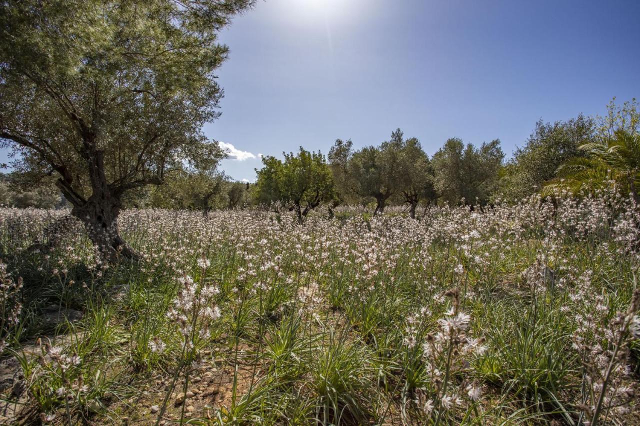 Finca Barons Bunyola Ngoại thất bức ảnh